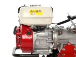 Motobineuse Benassi BL105H – Moteur Honda GX160 – 5,5 CV – Image 13